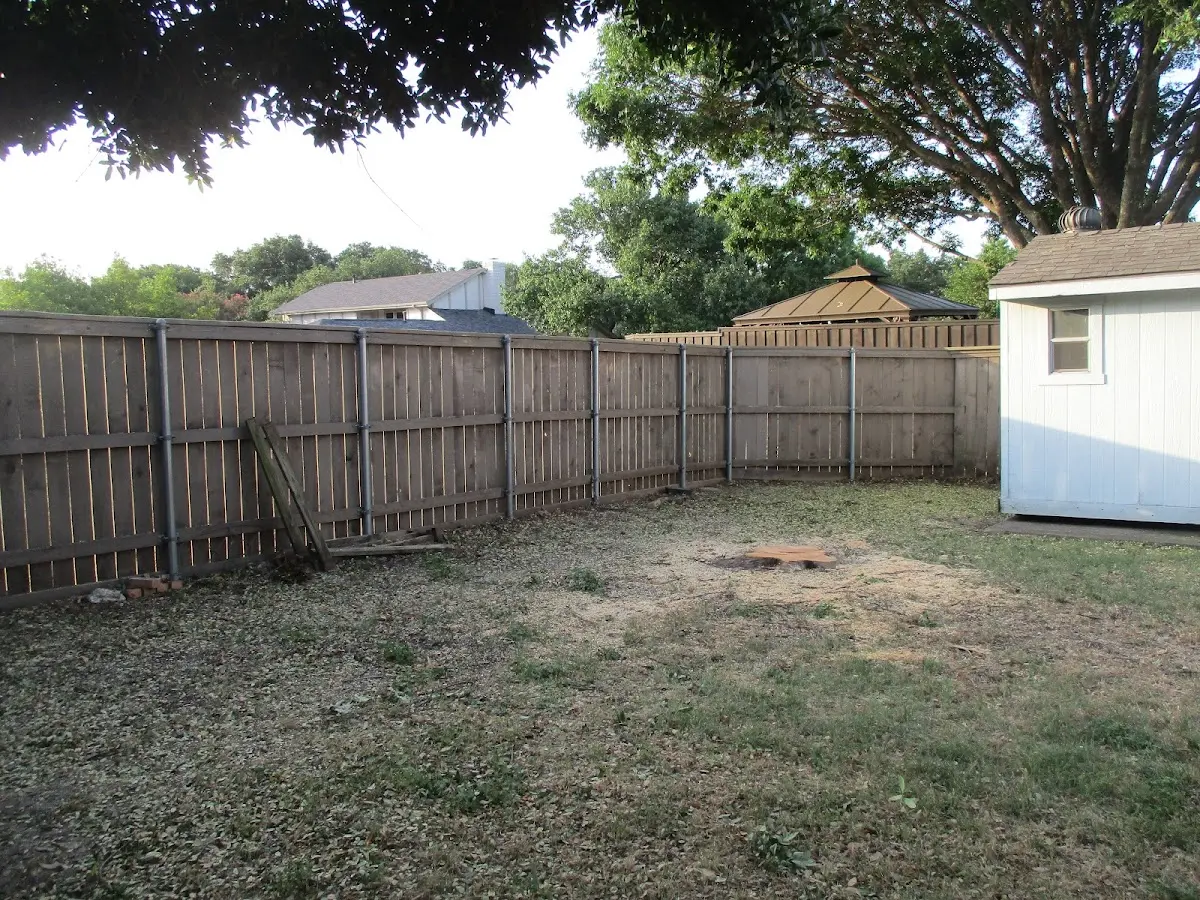 Cleared yard after professional tree removal in Minotola